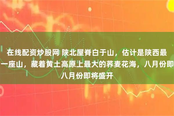 在线配资炒股网 陕北屋脊白于山，估计是陕西最低调的一座山，藏着黄土高原上最大的荞麦花海，八月份即将盛开