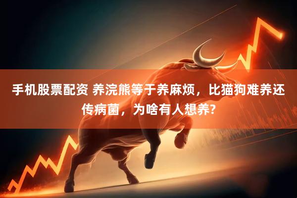 手机股票配资 养浣熊等于养麻烦，比猫狗难养还传病菌，为啥有人想养?