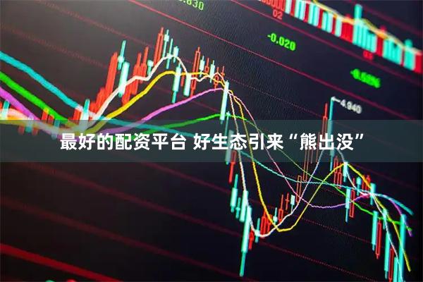 最好的配资平台 好生态引来“熊出没”